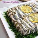 hamsili