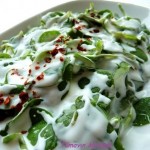 semizotu salatası