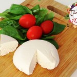 ricotta2