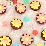 papatya cupcake1